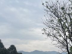 -秦始皇帝陵博物院-丽山园