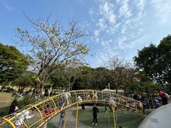 -云溪植物园