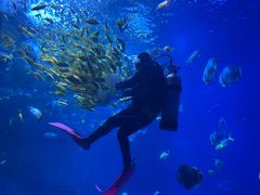 -太平洋海底世界