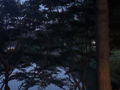 -天怡·鱼工厂(梅溪湖店)