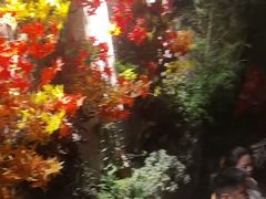 -贰醒·私房小院烧烤 (太古里店)