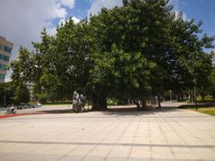 -广西大学(大学东路校区)