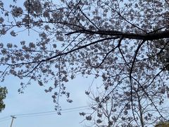 -新江湾城公园