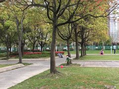 -新江湾城公园