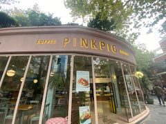 -WHEN PIGS FLY当猪飞