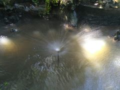 -法雨寺餐厅