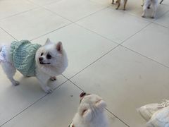 -怪兽屋·羊驼·猫咖·狗咖(俊华广场店)