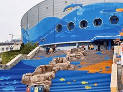 -海合安青岛极地海洋公园