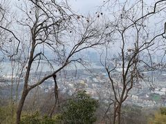 -紫金山天文台