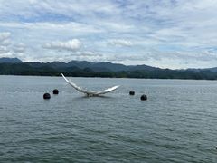-千岛湖城中湖游船码头