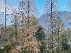 -井冈山风景名胜区