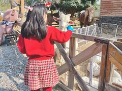 -HERRE·FARM 赫尔露营农场·团建聚会包场