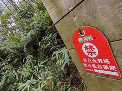 -芦仙山景区-飞越丛林探险乐园