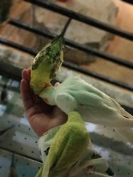 -酷嗒动物文化乐园(cutezoo西溪乐天城店)