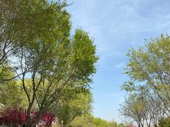 -永定河休闲森林公园