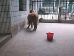 -甘棠公园