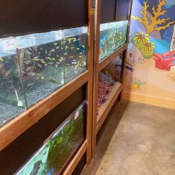 -造物庄园 萌宠纪(苏州湾歌林公园店)