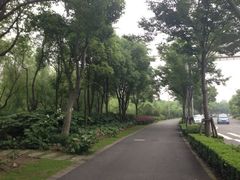 iphone_upload_pic-新江湾城公园