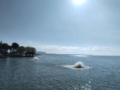 -滇池海埂公园