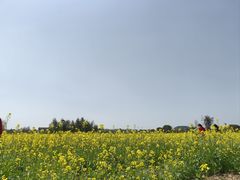 -良渚古城遗址公园