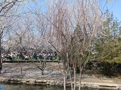 -春风习习