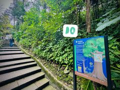-鼎湖山风景区
