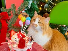 -氷冰凉刨冰甜品(北京路店)