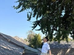 -自如ZSPACE四合院艺术餐厅