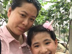 -马陆小张葡萄园农家乐