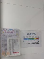 -上海市嘉定区妇幼保健院