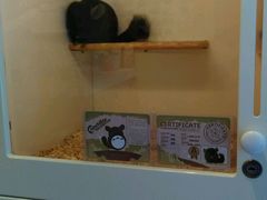 -龙猫仔乐园(惠福东路店)