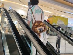 -大悦城(沈阳中街店)