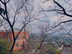 -上海佘山国家森林公园西佘山园