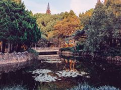 -叶家花园