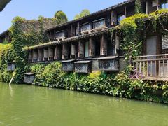 -乌镇西栅景区