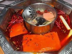 蜀九香火锅-蜀九香火锅(九眼桥店)