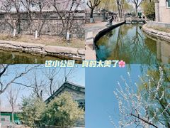 -三里河公园
