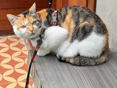 -Again Coffee Roaster(香蜜湖店)