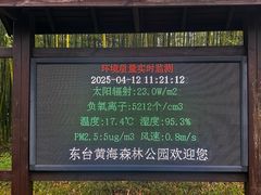 -黄海国家森林公园