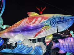 -海合安成都极地海洋公园