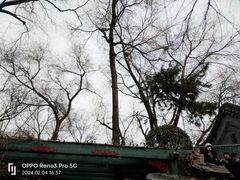 -恭王府博物馆