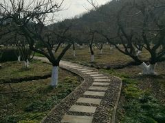-白马涧龙池景区