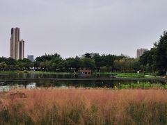 -映月湖公园
