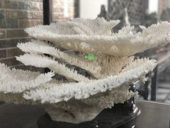 -游龙石文化科普馆