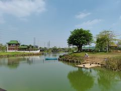 -王借岗森林公园
