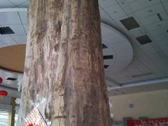 镇店之宝-龙凤山庄(永定镇店)