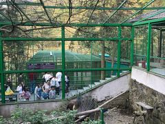 -藏龙百瀑风景区