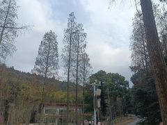-天花井景区