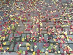 -上海安亭别墅花园酒店