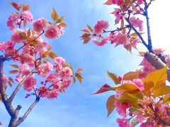 -滨湖塘西河公园